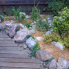 Realizzazione aiuole "dry garden"