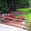 Realizzare giardino