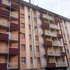 Intonaco e pittura 13-16/02