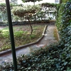 Ristrutturare Giardino
