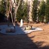 Piantumare giardino sopra strato giá esistente