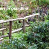 Preparare giardino