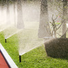 Sistemare 700 M2 Di Giardino