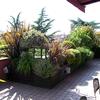 Piantare fiori in fiorere
