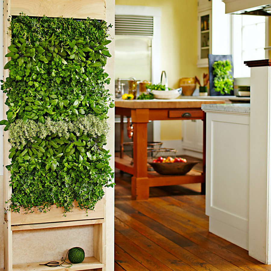 Il verde abbellisce gli interni: decorazioni con piante naturali ... Balcone decorazione Interiores
