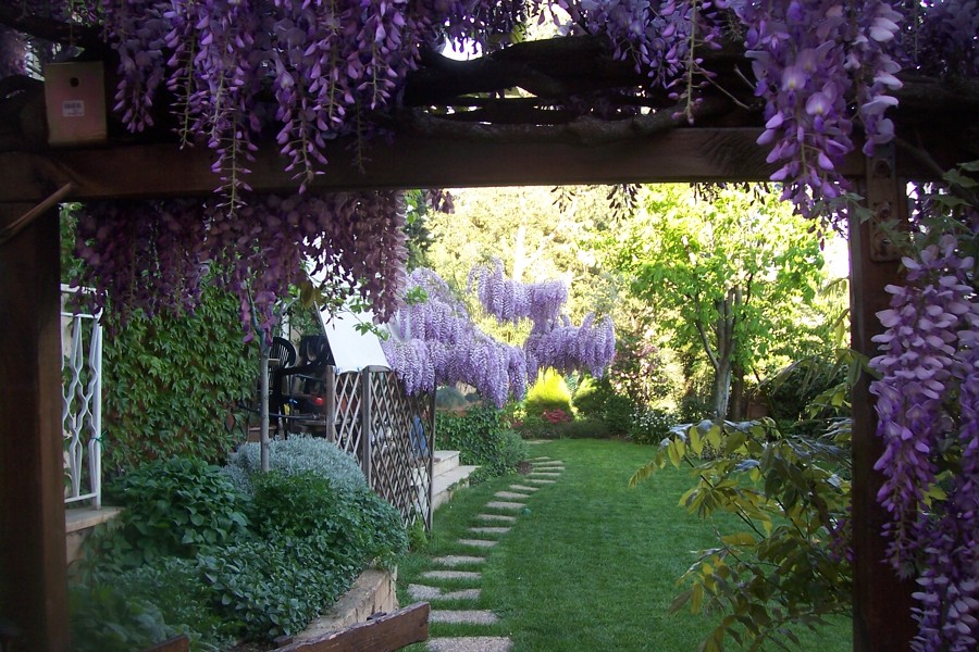 Un giardino d'aprile