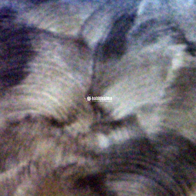 Idee e foto di cartongesso a sarcedo (vicenza) per ispirarti ... Idee cartongesso e tv