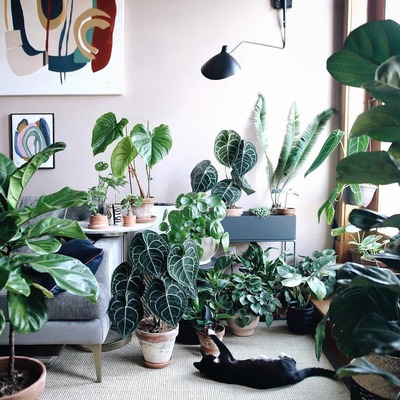 7 profili instagram da seguire se vuoi rendere più bella la tua casa