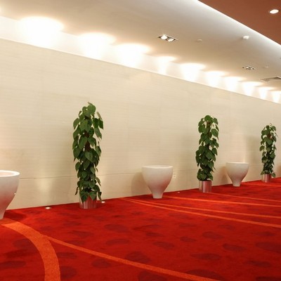 Costi e consigli su come agire per togliere la moquette habitissimo Costo lavaggio moquette al mq