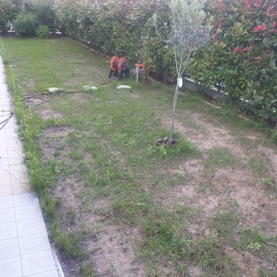 Rifare giardino di 110 mq lissone (monza e della brianza ... Rifare il giardino