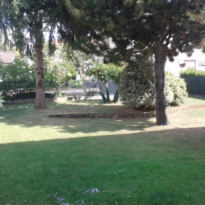 Giardino rifare il prato san daniele, sovizzo (vicenza ... Rifare il giardino