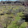 Rustico Completamente da Ristrutturare