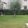 Erba da giardino