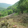 Pulire Terreno Agricolo