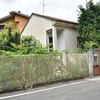 Allontanamento volatili, pulizia guano e sanificazione
