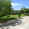 Progettare Giardino