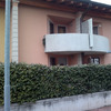 Problema piccioni
