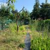 Manutenzione Giardino