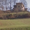 Potare O Tagliare Alberi