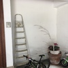 Parete In Cartongesso