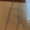 Dipingere Interno Casa