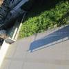 Rifacimento giardino