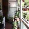 Realizzare Veranda Materiale Da Scegliere
