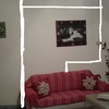 Demolire muro