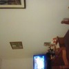Imbiancatura casa