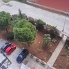 Tagliare piante alle ringhiere di recinzione del giardino