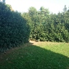 Realizzare e creare un vero giardino