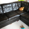 Rivestimento divano