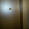 Riparazione bucco porta da interno in legno