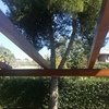 Tagliare albero