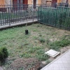 Giardino di casa a brescia