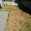 Realizzazione giardino