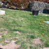 Giardino con manto erboso