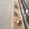 Realizzare Progetto Arredamento Terrazza/giardino
