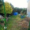 Manutenzione Giardino