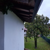 Installare Canna Fumaria