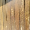 Carteggiatura e Verniciatura Legno