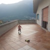 Pergole