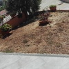 Piantare Giardino