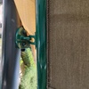 Riparare Tenda Da Sole