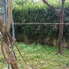 Manutenzione Giardino