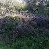 Pulire Terreno Agricolo