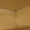 Dipingere Interno Casa