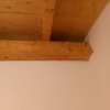 Derattizzazione
