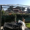 Manutenzione Giardino