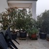 Lavori Di Falegnameria